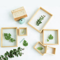 High Quality Modern Double glass 4x6 Natural wood leaf Plant Herbarium Dried Pressed Flowers floating picture frame